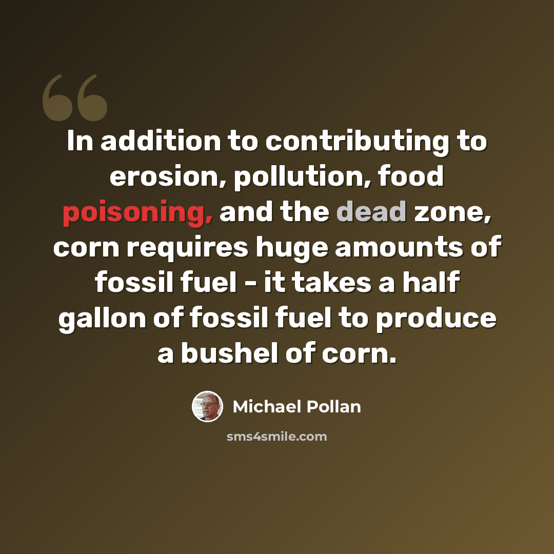 “In addition to contributing to erosion, pollution, food poisoning, and the dead zone, corn requires huge amounts of fossil fuel - it takes a half gallon of fossil fuel to produce a bushel of corn.” quote by Michael Pollan