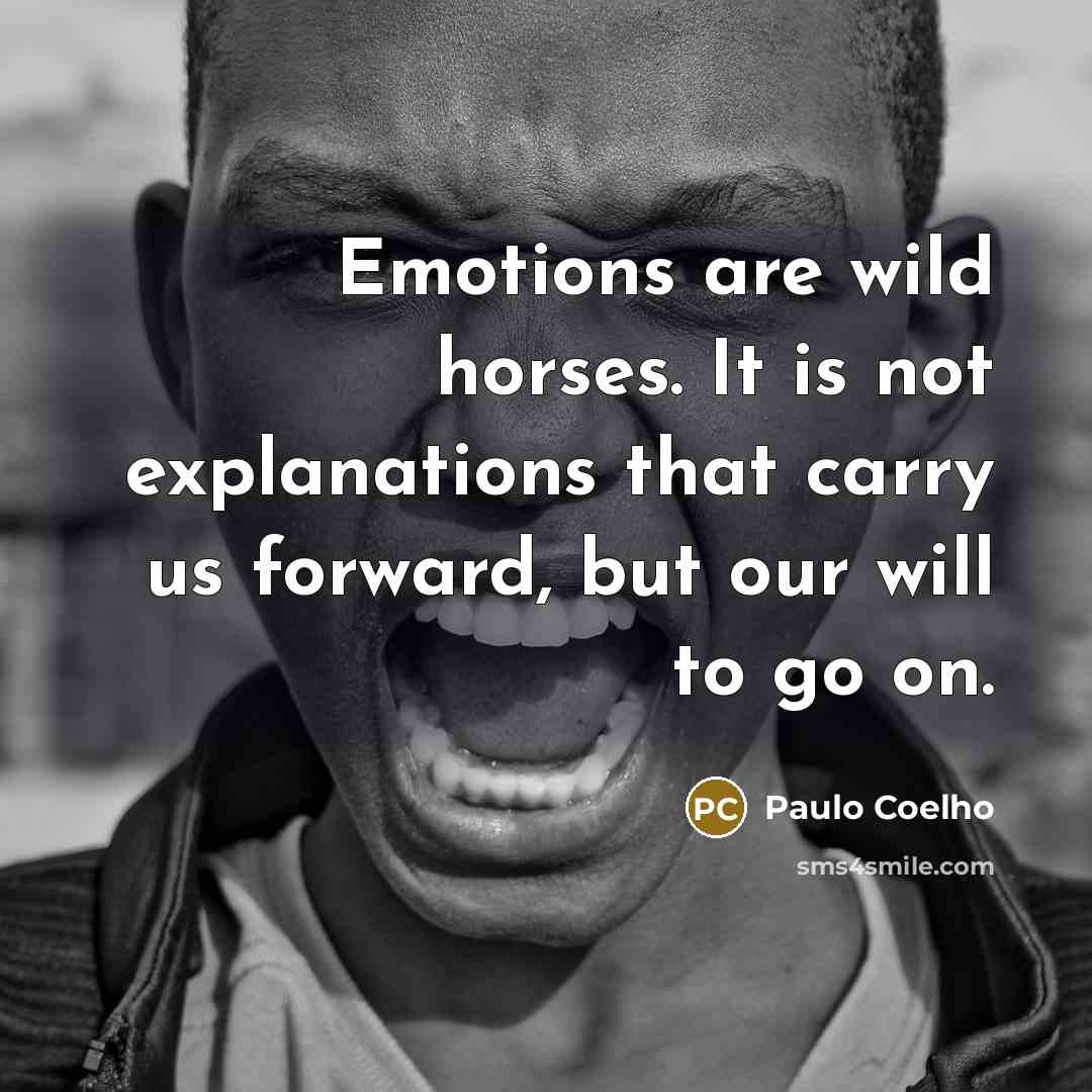 “Emotions are wild horses. It is not explanations that carry us forward, but our will to go on.” quote by Paulo Coelho
