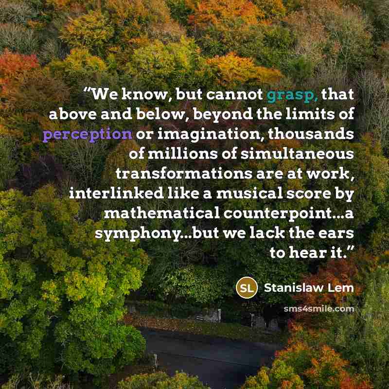 “We know, but cannot grasp, that above and below, beyond the limits of perception or imagination, thousands of millions of simultaneous transformations are at work, interlinked like a musical score by mathematical counterpoint...a symphony...but we lack the ears to hear it.” quote by Stanislaw Lem