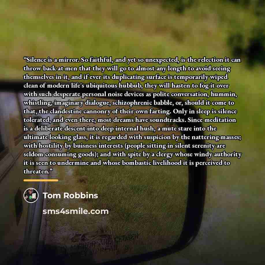 “Silence is a mirror. So faithful, and yet so unexpected, is the relection it can throw back at men that they will go to almost any length to avoid seeing themselves in it, and if ever its duplicating surface is temporarily wiped clean of modern life's ubiquitous hubbub, they will hasten to fog it…” quote by Tom Robbins