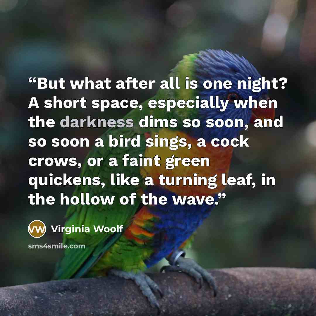 “But what after all is one night? A short space, especially when the darkness dims so soon, and so soon a bird sings, a cock crows, or a faint green quickens, like a turning leaf, in the hollow of the wave.” quote by Virginia Woolf
