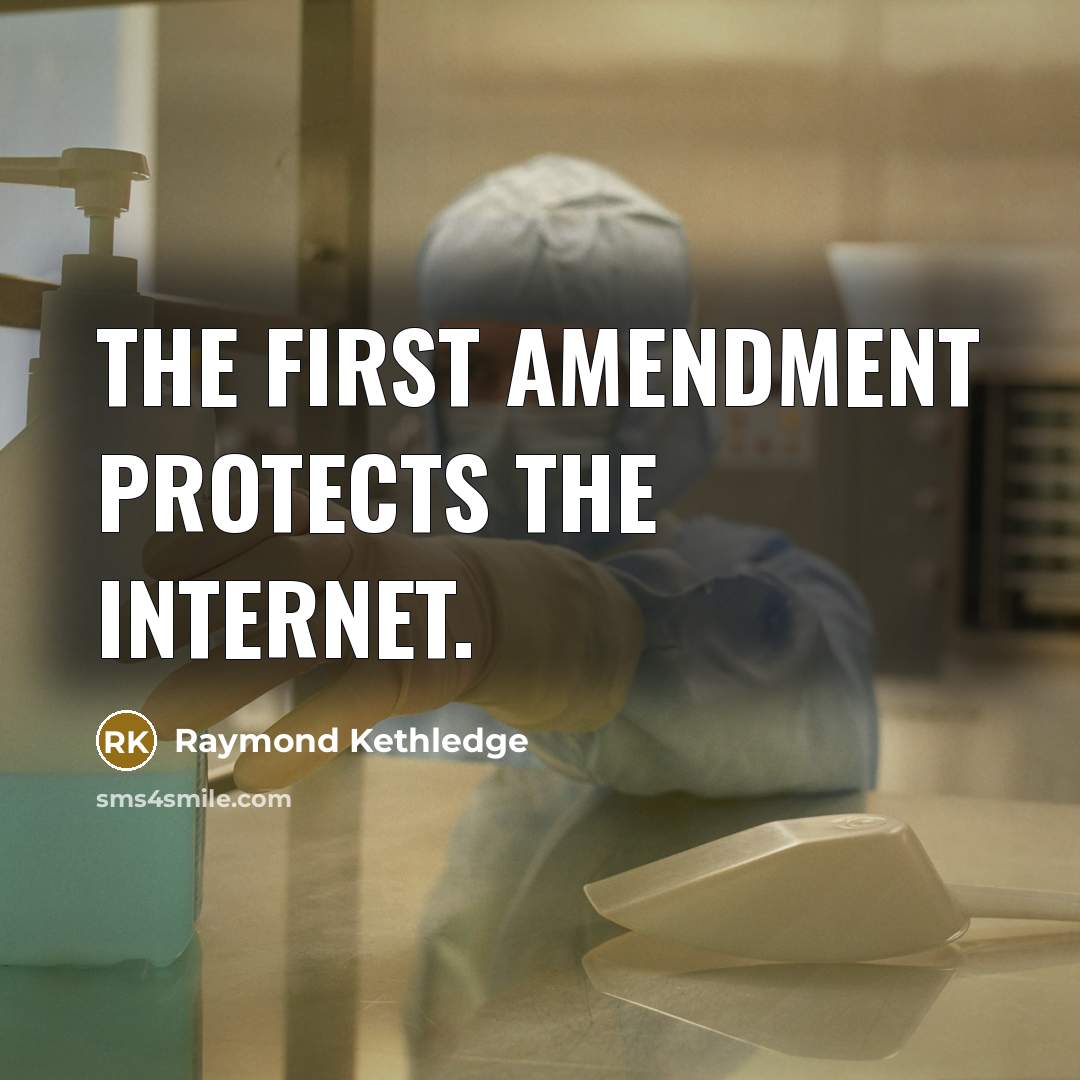 “The First Amendment protects the Internet.” quote by Raymond Kethledge