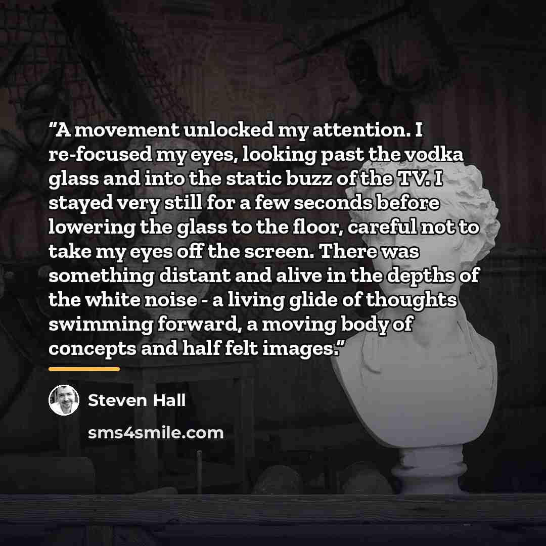 “A movement unlocked my attention. I re-focused my eyes, looking past the vodka glass and into the static buzz of the TV. I stayed very still for a few seconds before lowering the glass to the floor, careful not to take my eyes off the screen. There was something distant and alive in the depths of…” quote by Steven Hall
