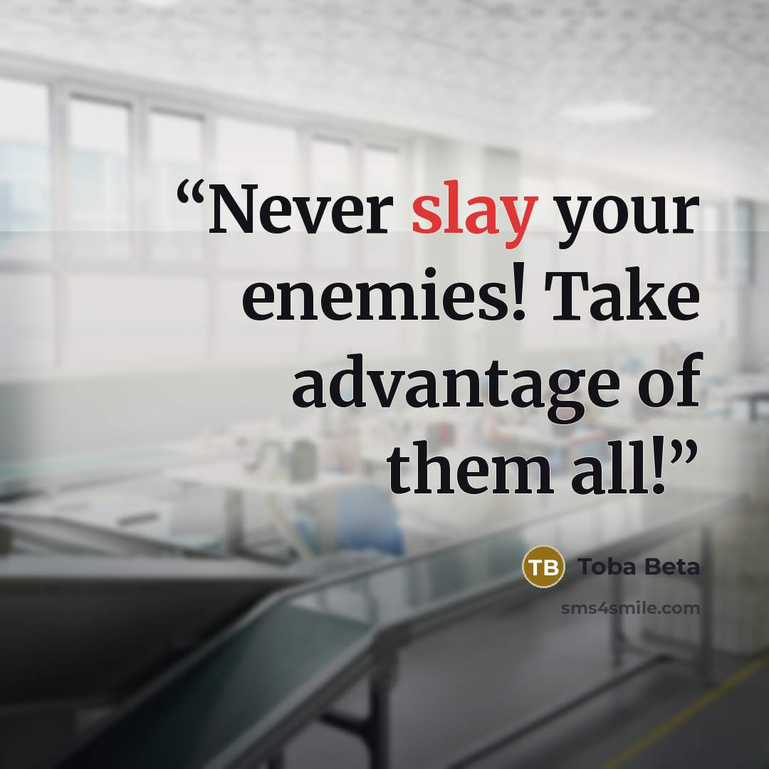 “Never slay your enemies! Take advantage of them all!” quote by Toba Beta