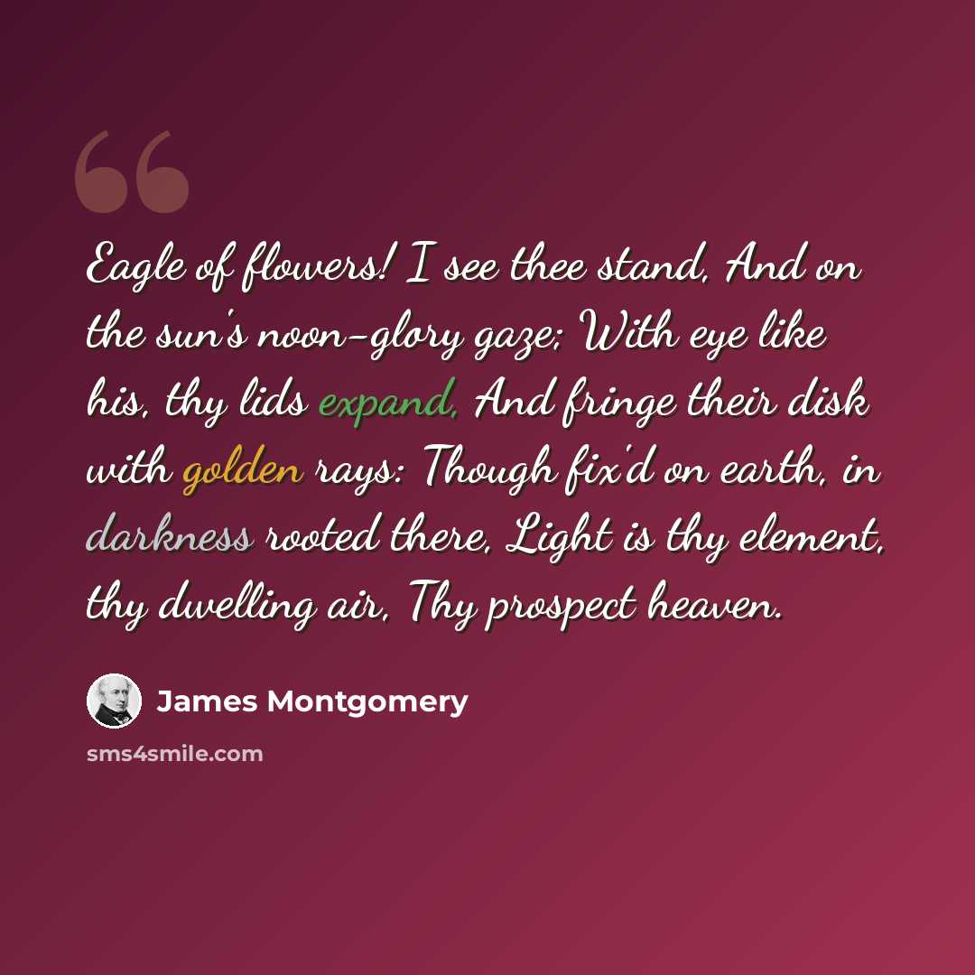 “Eagle of flowers! I see thee stand, And on the sun's noon-glory gaze; With eye like his, thy lids expand, And fringe their disk with golden rays: Though fix'd on earth, in darkness rooted there, Light is thy element, thy dwelling air, Thy prospect heaven.” quote by James Montgomery