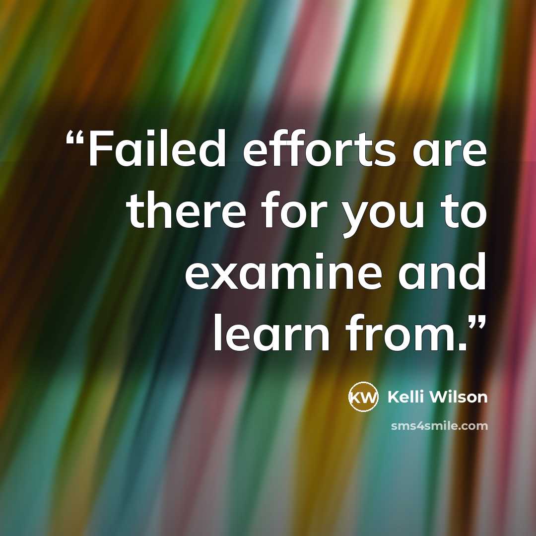 “Failed efforts are there for you to examine and learn from.” quote by Kelli Wilson