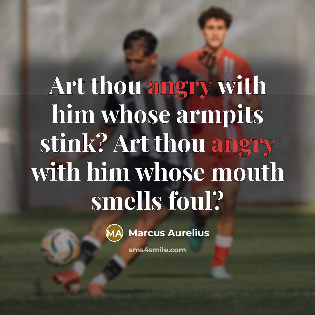 “Art thou angry with him whose armpits stink? Art thou angry with him whose mouth smells foul?” quote by Marcus Aurelius