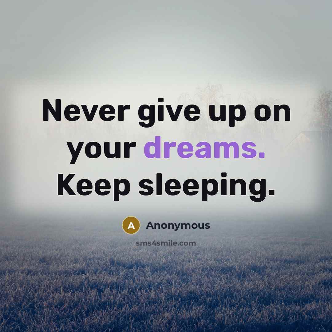 “Never give up on your dreams. Keep sleeping.” quote by Anonymous