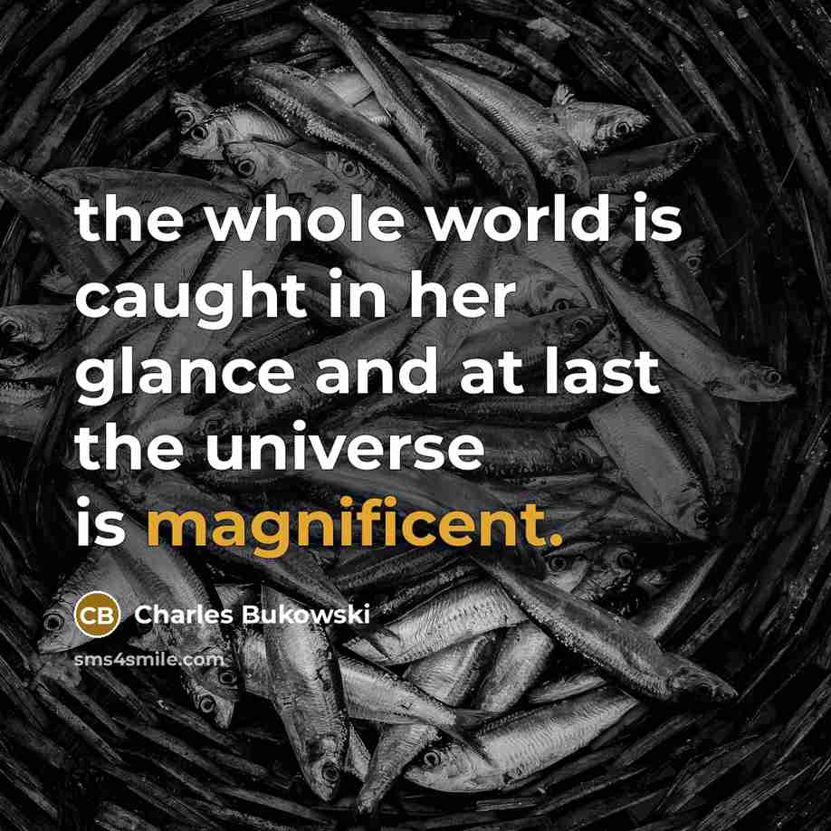 “the whole world is caught in her glance and at last the universe is magnificent.” quote by Charles Bukowski