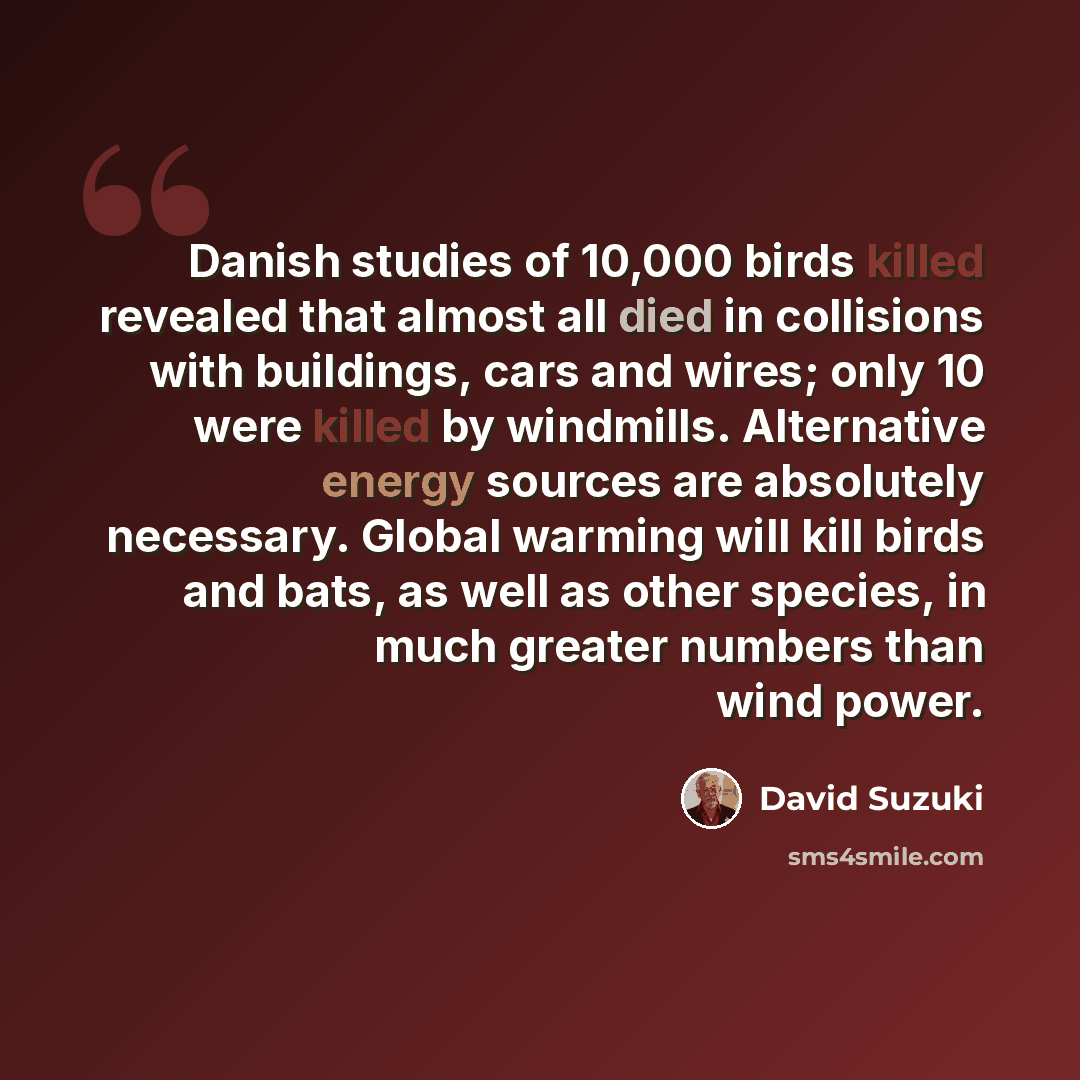 “Danish studies of 10,000 birds killed revealed that almost all died in collisions with buildings, cars and wires; only 10 were killed by windmills. Alternative energy sources are absolutely necessary. Global warming will kill birds and bats, as well as other species, in much greater numbers than…” quote by David Suzuki