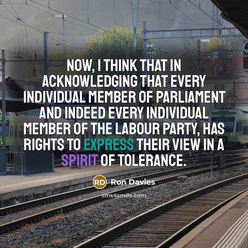 “Now, I think that in acknowledging that every individual Member of Parliament and indeed every individual member of the Labour Party, has rights to express their view in a spirit of tolerance.” quote by Ron Davies