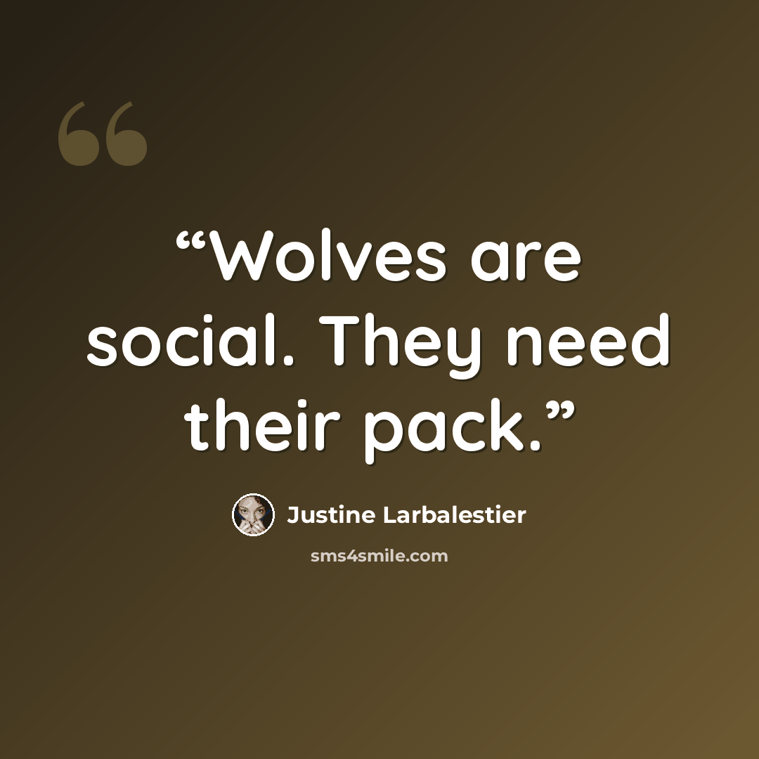 “Wolves are social. They need their pack.” quote by Justine Larbalestier