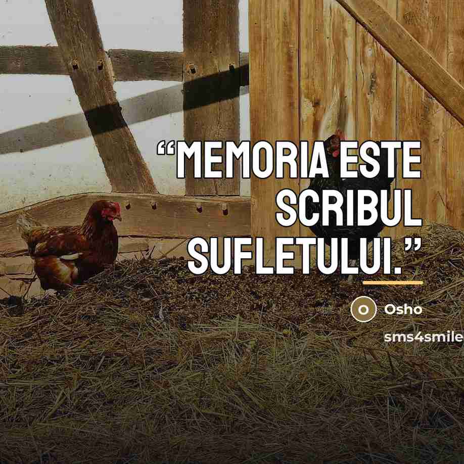 “Memoria este scribul sufletului.” quote by Osho