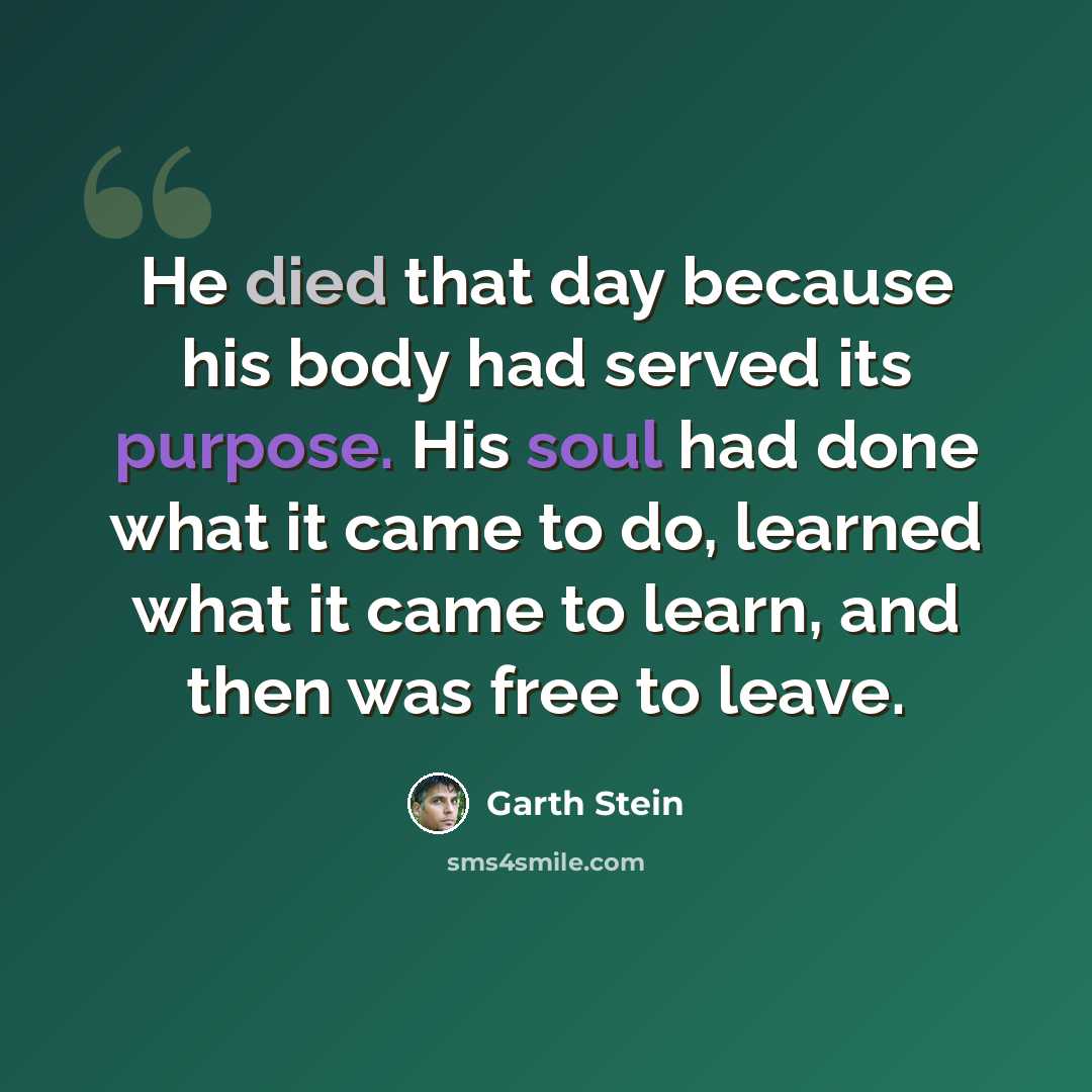 “He died that day because his body had served its purpose. His soul had done what it came to do, learned what it came to learn, and then was free to leave.” quote by Garth Stein