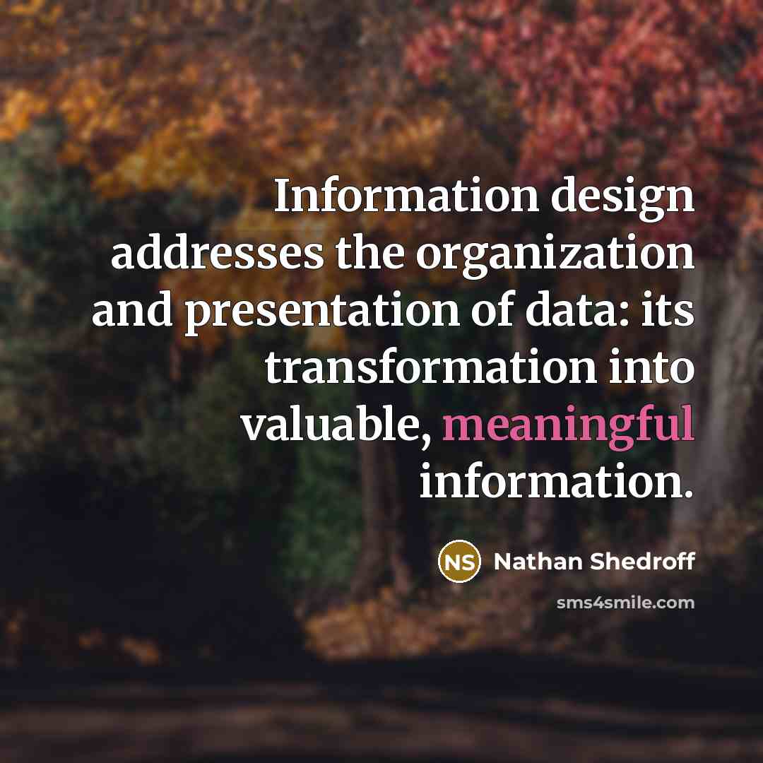 “Information design addresses the organization and presentation of data: its transformation into valuable, meaningful information.” quote by Nathan Shedroff
