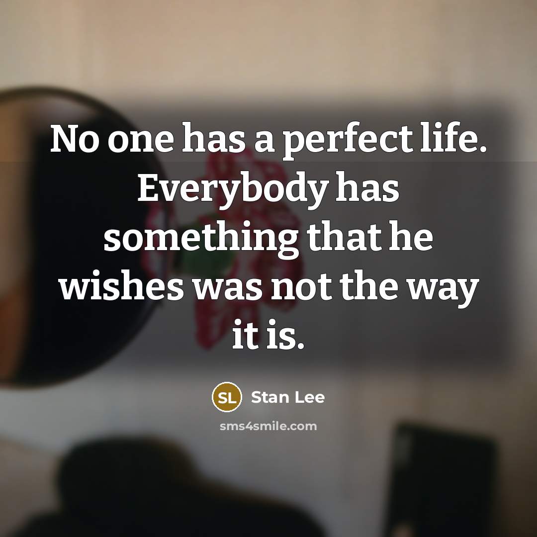 “No one has a perfect life. Everybody has something that he wishes was not the way it is.” quote by Stan Lee
