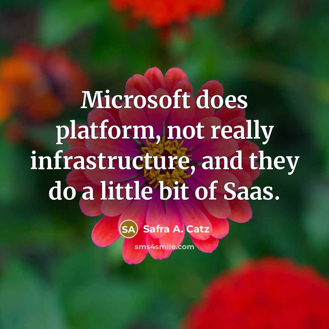 “Microsoft does platform, not really infrastructure, and they do a little bit of Saas.” quote by Safra A. Catz