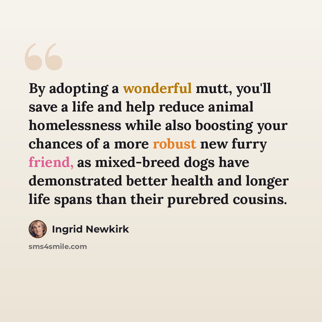 “By adopting a wonderful mutt, you'll save a life and help reduce animal homelessness while also boosting your chances of a more robust new furry friend, as mixed-breed dogs have demonstrated better health and longer life spans than their purebred cousins.” quote by Ingrid Newkirk