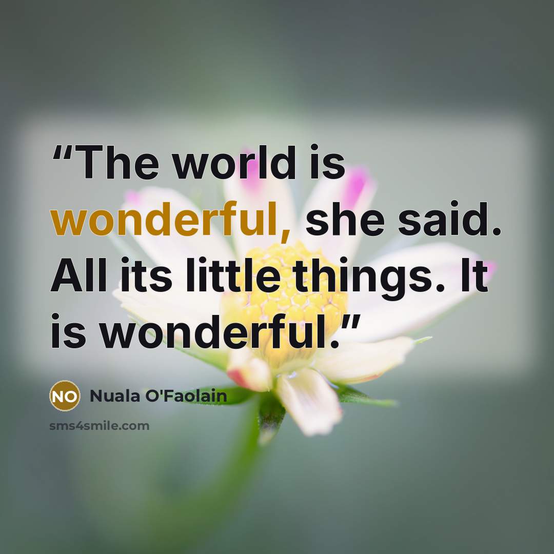 “The world is wonderful, she said. All its little things. It is wonderful.” quote by Nuala O'Faolain