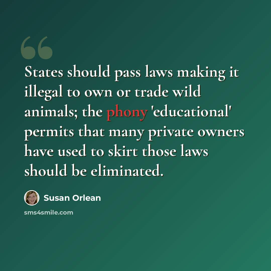“States should pass laws making it illegal to own or trade wild animals; the phony 'educational' permits that many private owners have used to skirt those laws should be eliminated.” quote by Susan Orlean