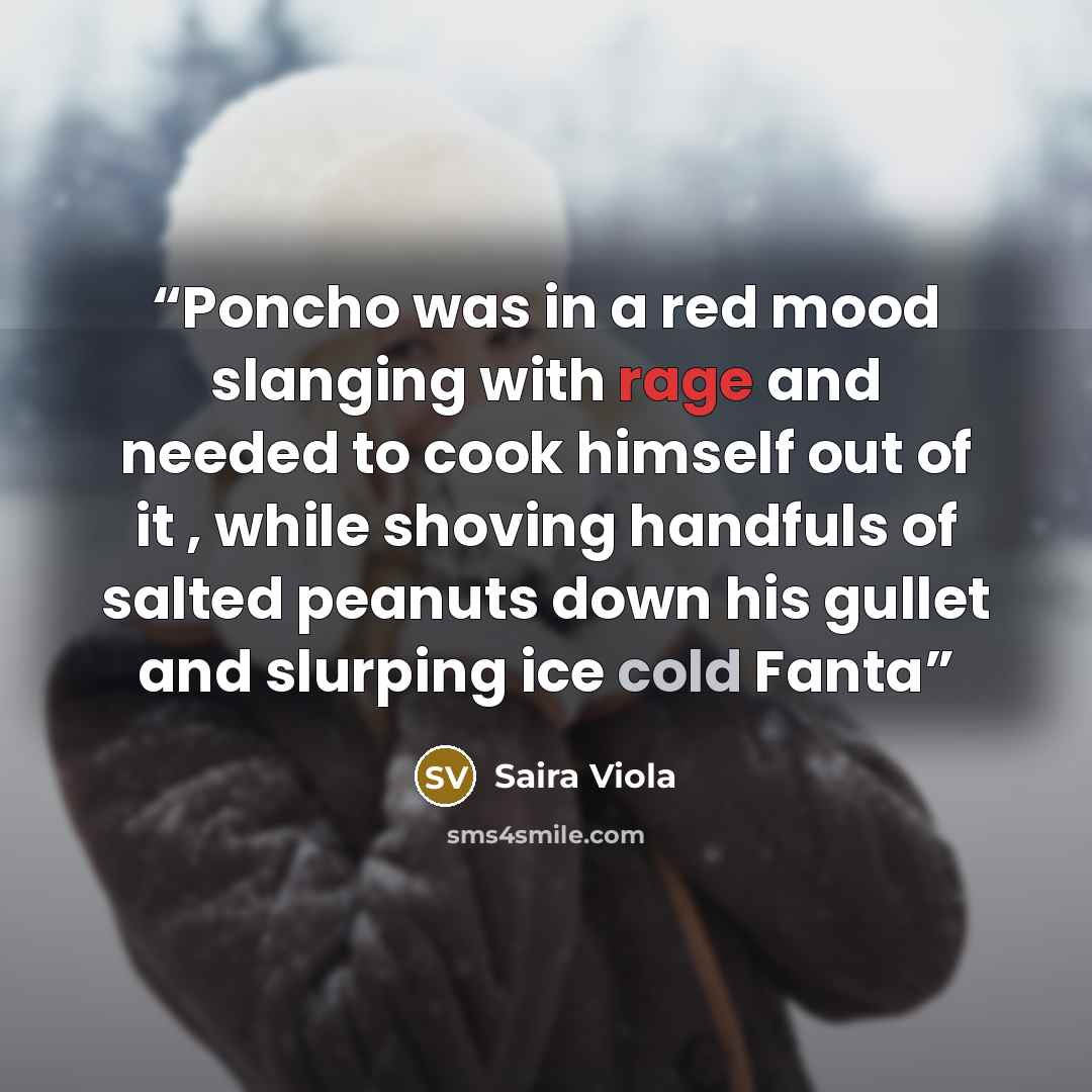 “Poncho was in a red mood slanging with rage and needed to cook himself out of it , while shoving handfuls of salted peanuts down his gullet and slurping ice cold Fanta” quote by Saira Viola
