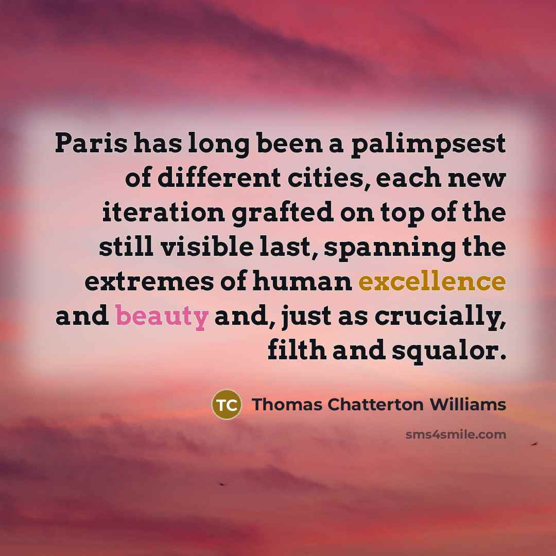“Paris has long been a palimpsest of different cities, each new iteration grafted on top of the still visible last, spanning the extremes of human excellence and beauty and, just as crucially, filth and squalor.” quote by Thomas Chatterton Williams