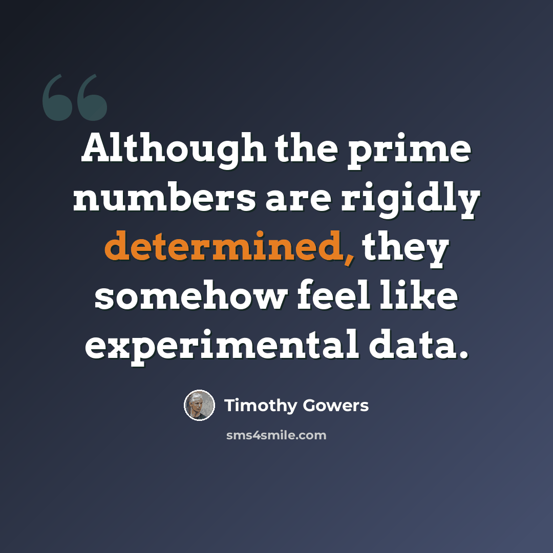 “Although the prime numbers are rigidly determined, they somehow feel like experimental data.” quote by Timothy Gowers
