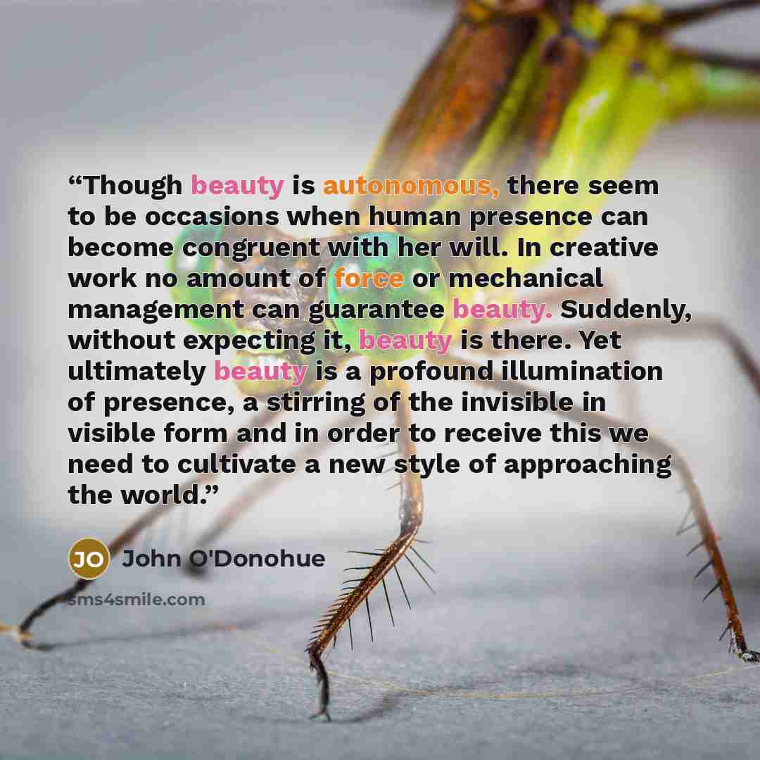 “Though beauty is autonomous, there seem to be occasions when human presence can become congruent with her will. In creative work no amount of force or mechanical management can guarantee beauty. Suddenly, without expecting it, beauty is there. Yet ultimately beauty is a profound illumination of…” quote by John O'Donohue