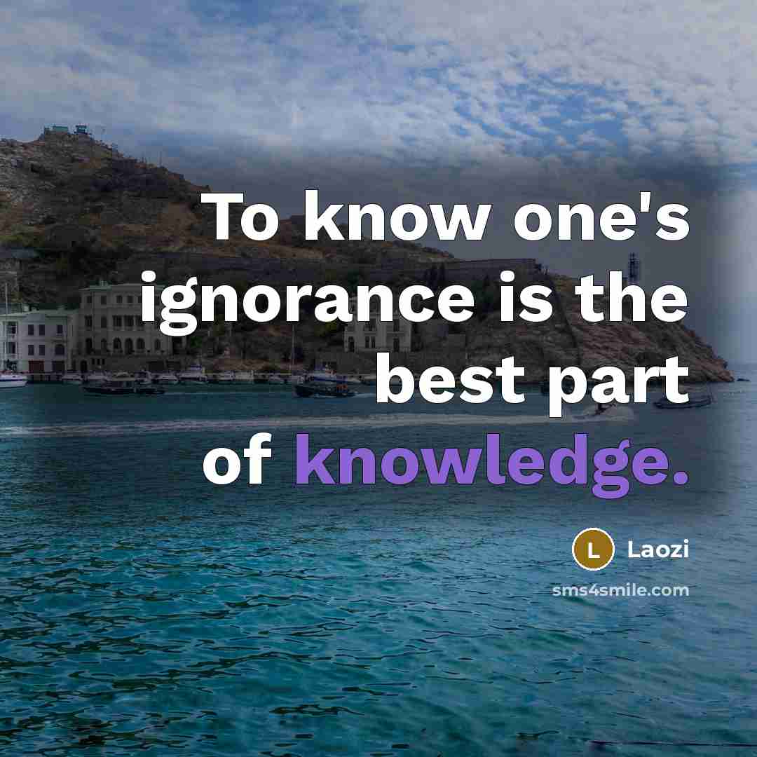 “To know one's ignorance is the best part of knowledge.” quote by Laozi