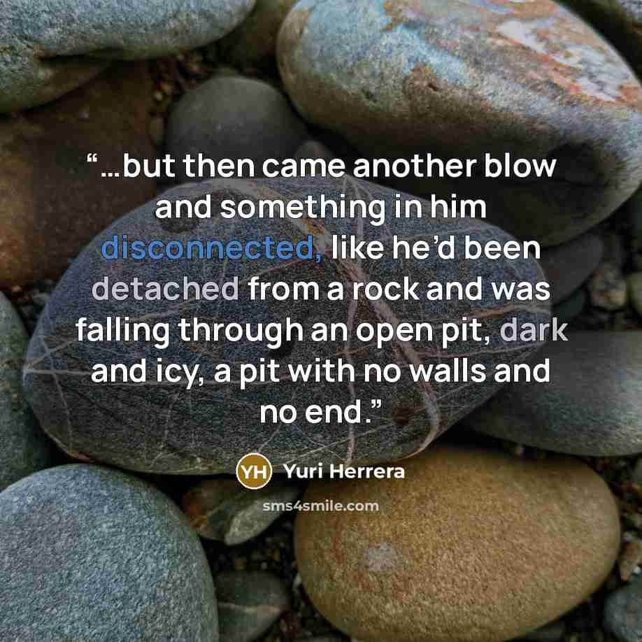 “…but then came another blow and something in him disconnected, like he’d been detached from a rock and was falling through an open pit, dark and icy, a pit with no walls and no end.” quote by Yuri Herrera
