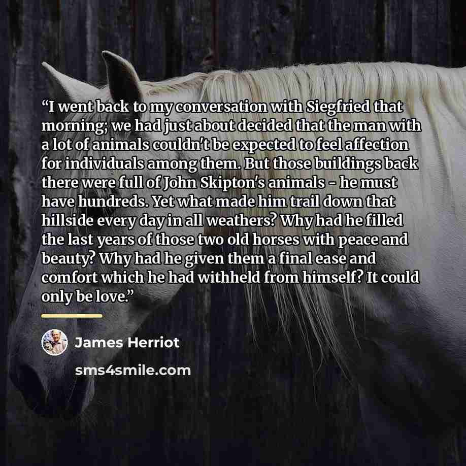 “I went back to my conversation with Siegfried that morning; we had just about decided that the man with a lot of animals couldn't be expected to feel affection for individuals among them. But those buildings back there were full of John Skipton's animals - he must have hundreds. Yet what made him…” quote by James Herriot