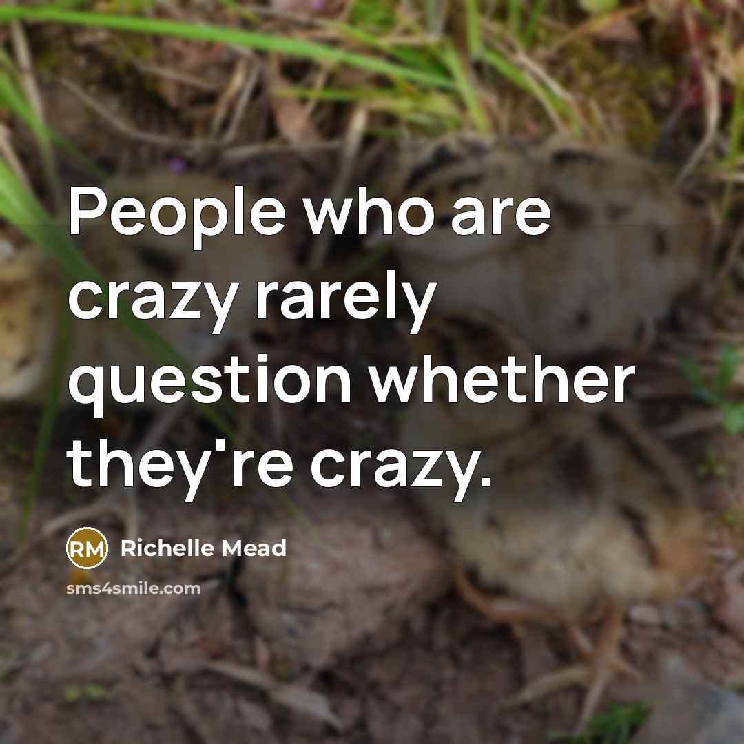 “People who are crazy rarely question whether they're crazy.” quote by Richelle Mead