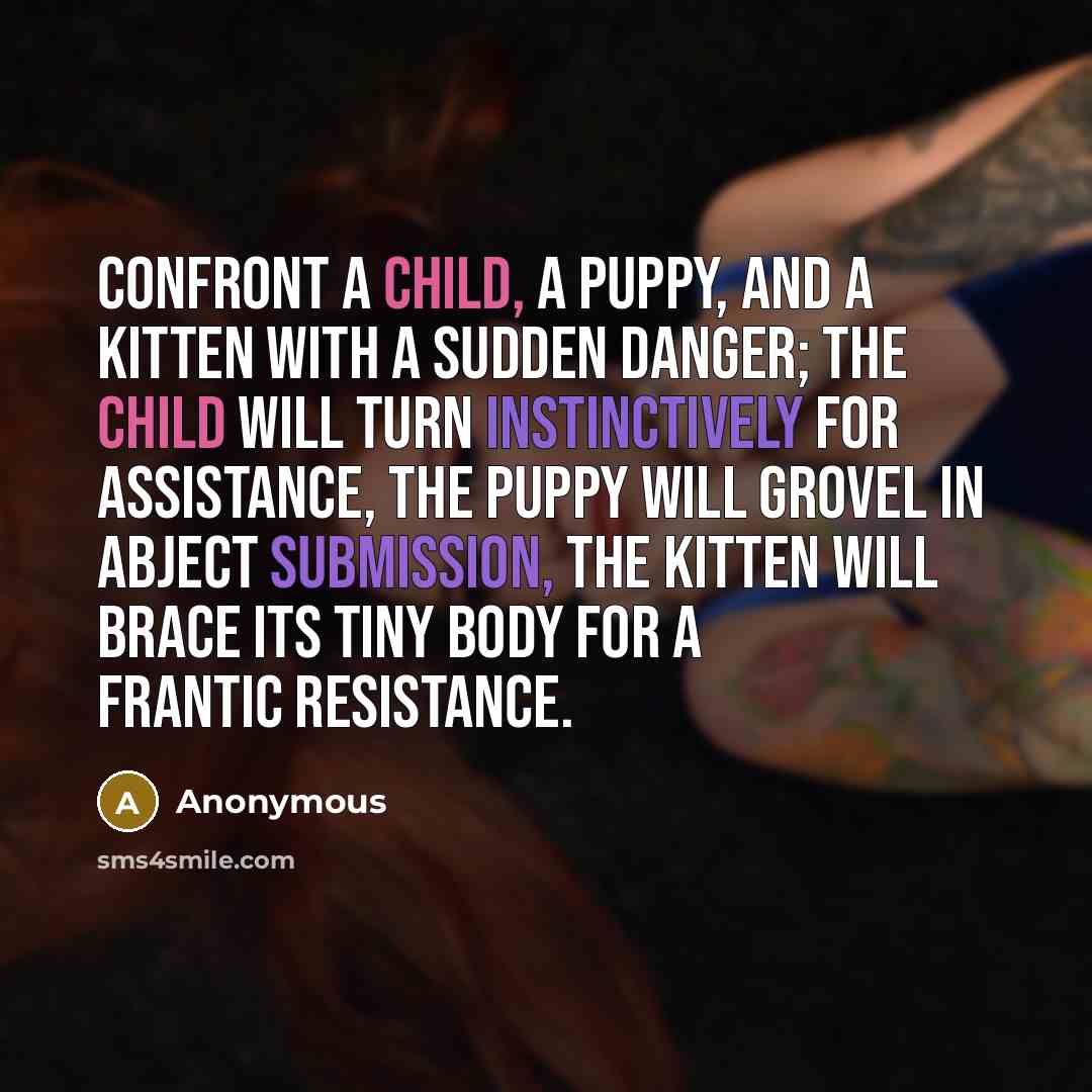 “Confront a child, a puppy, and a kitten with a sudden danger; the child will turn instinctively for assistance, the puppy will grovel in abject submission, the kitten will brace its tiny body for a frantic resistance.” quote by Anonymous