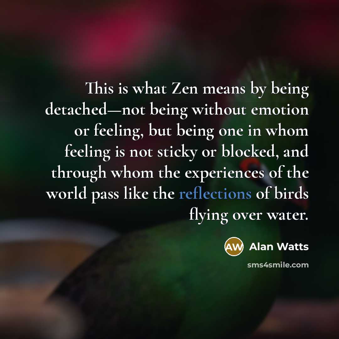“This is what Zen means by being detached—not being without emotion or feeling, but being one in whom feeling is not sticky or blocked, and through whom the experiences of the world pass like the reflections of birds flying over water.” quote by Alan Watts