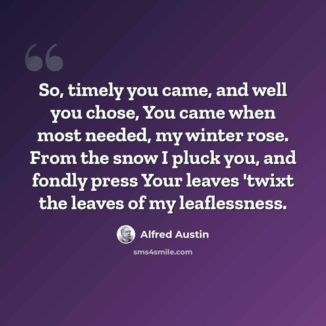 “So, timely you came, and well you chose, You came when most needed, my winter rose. From the snow I pluck you, and fondly press Your leaves 'twixt the leaves of my leaflessness.” quote by Alfred Austin