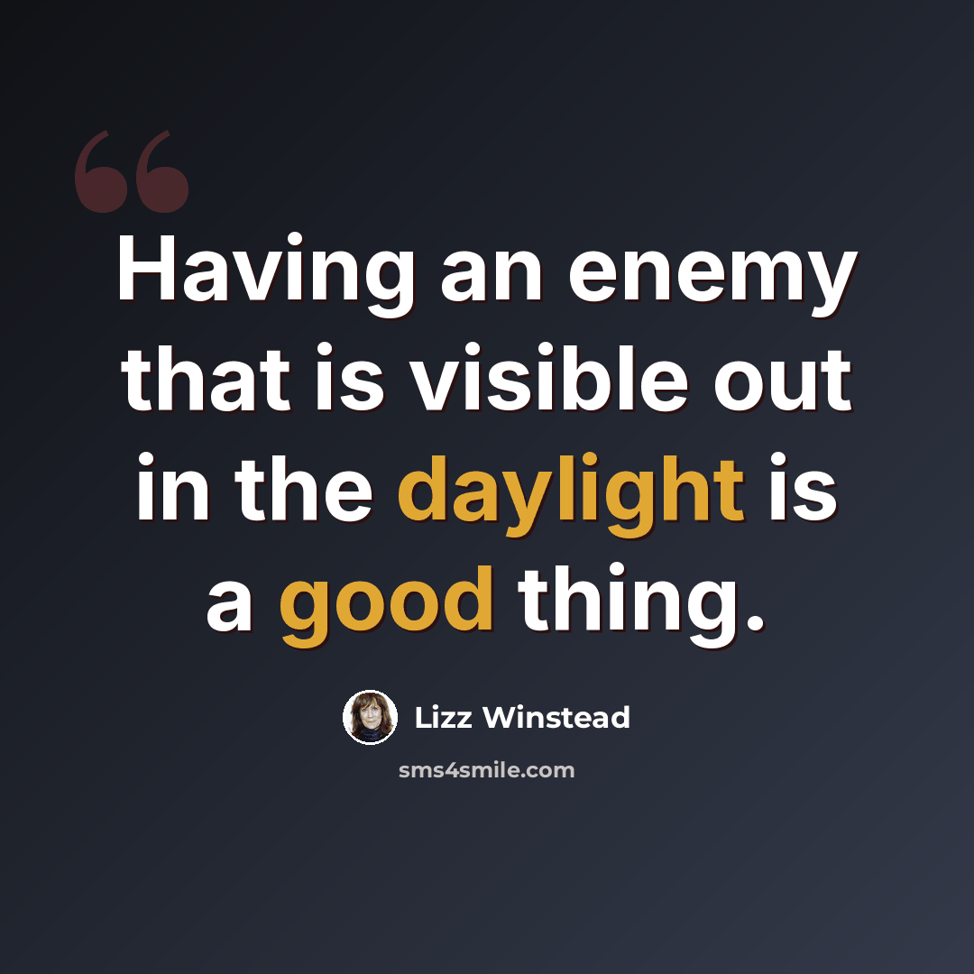 “Having an enemy that is visible out in the daylight is a good thing.” quote by Lizz Winstead