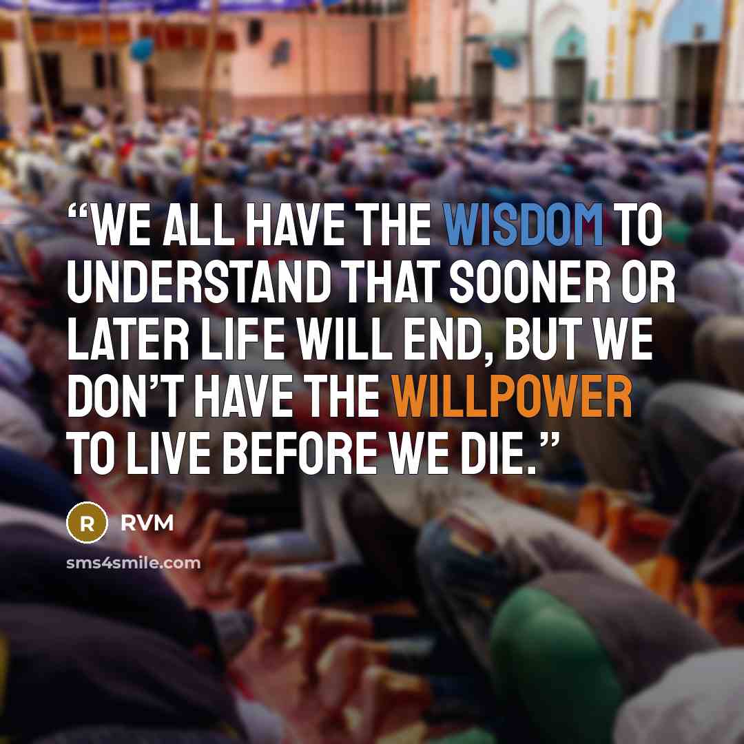 “We all have the Wisdom to understand that sooner or later Life will end, but we don’t have the Willpower to Live before we die.” quote by RVM