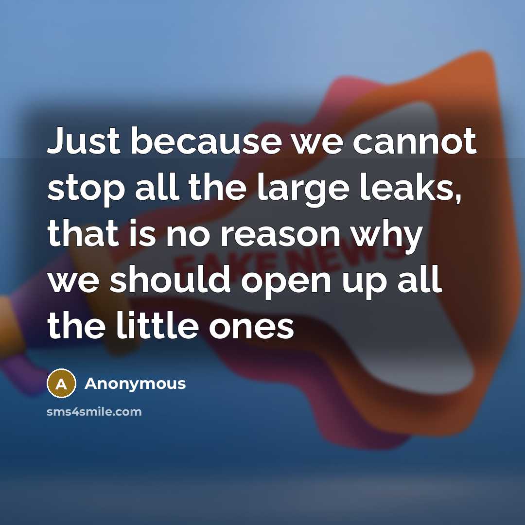 “Just because we cannot stop all the large leaks, that is no reason why we should open up all the little ones” quote by Anonymous