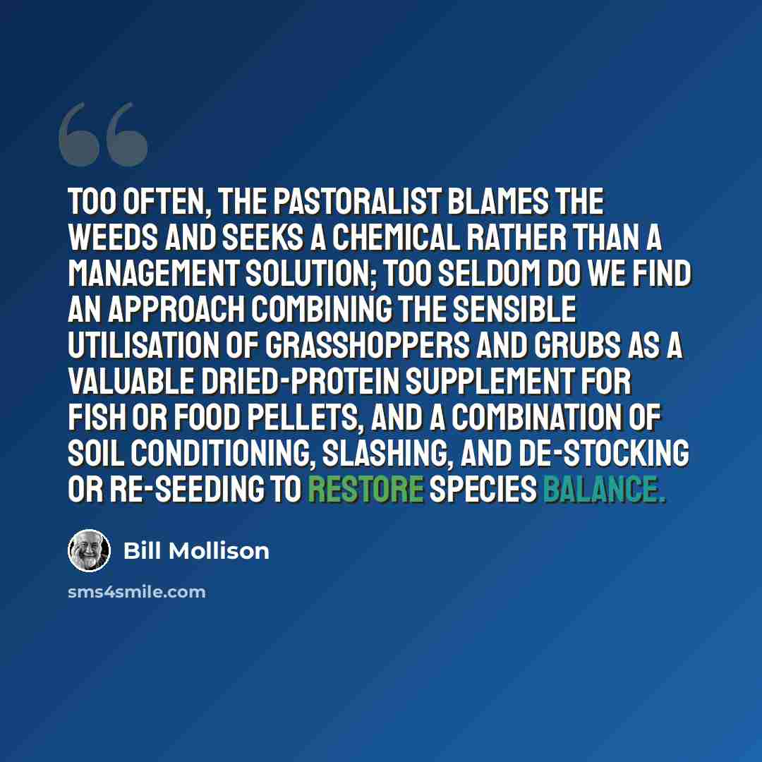“Too often, the pastoralist blames the weeds and seeks a chemical rather than a management solution; too seldom do we find an approach combining the sensible utilisation of grasshoppers and grubs as a valuable dried-protein supplement for fish or food pellets, and a combination of soil…” quote by Bill Mollison