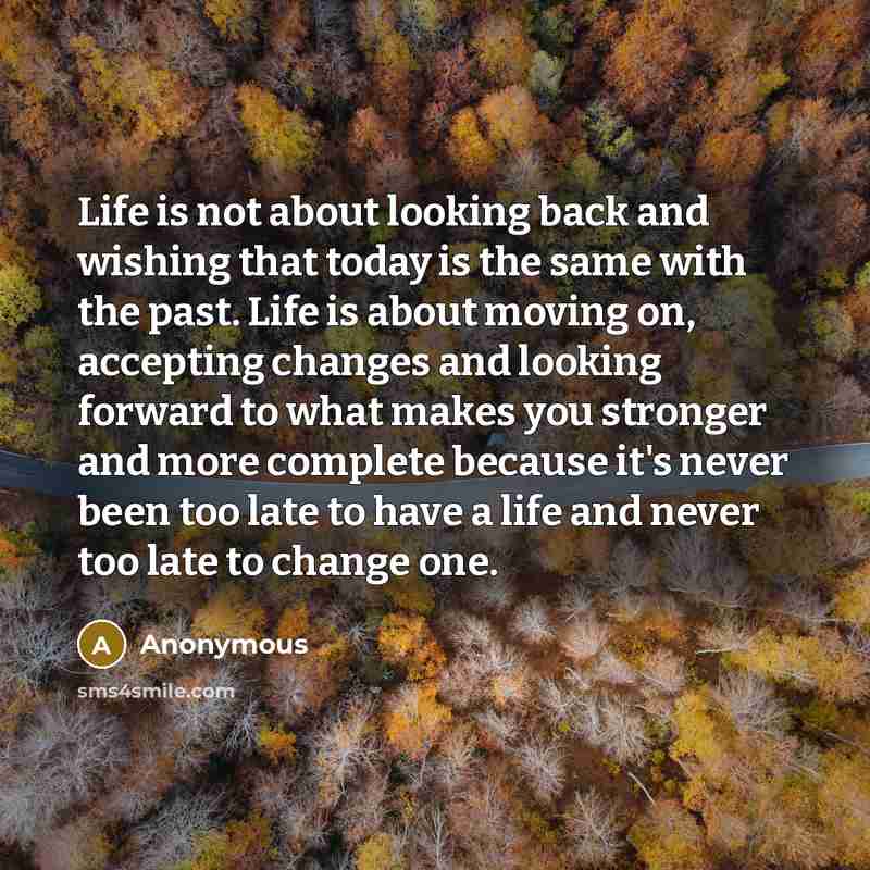 “Life is not about looking back and wishing that today is the same with the past. Life is about moving on, accepting changes and looking forward to what makes you stronger and more complete because it's never been too late to have a life and never too late to change one.” quote by Anonymous