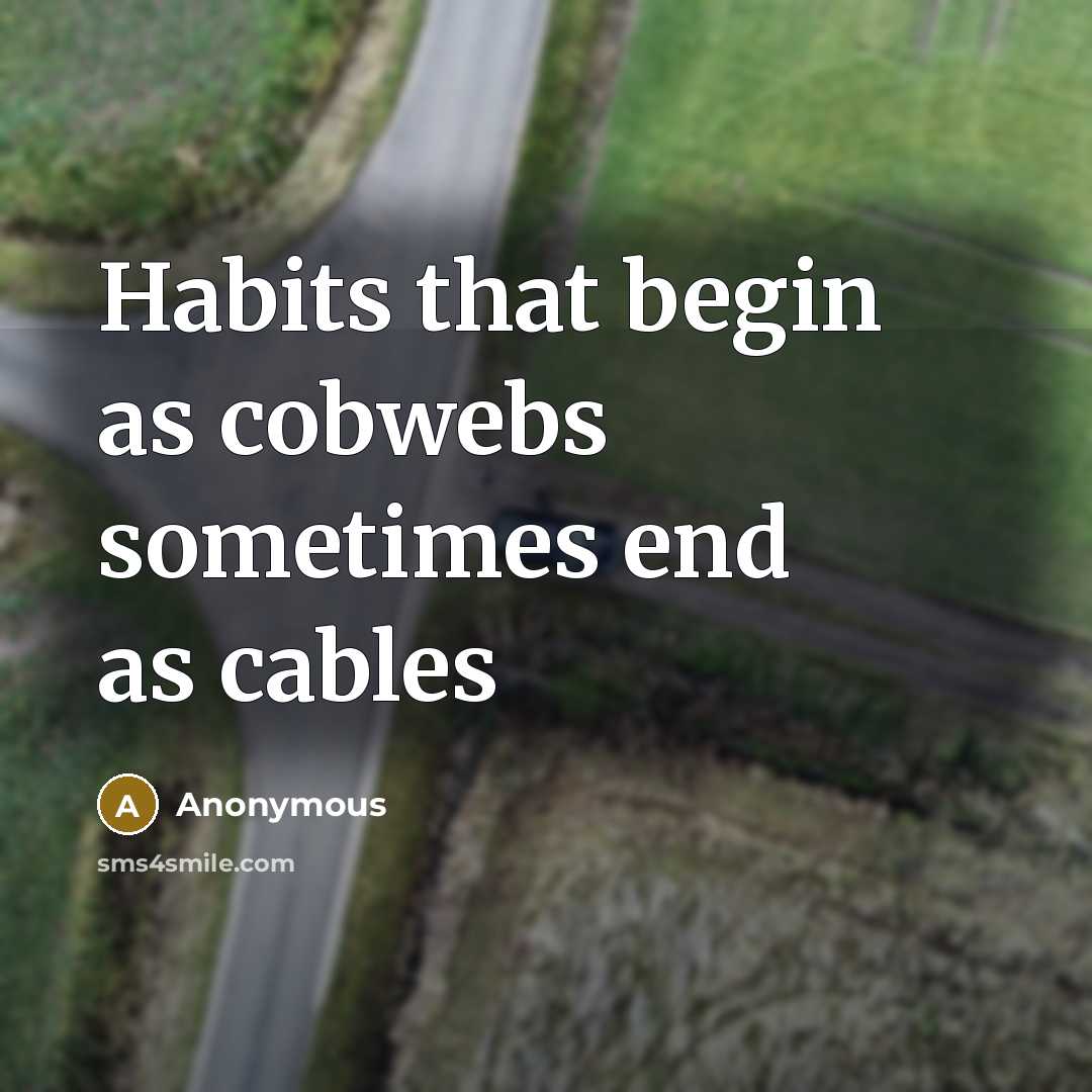 “Habits that begin as cobwebs sometimes end as cables” quote by Anonymous