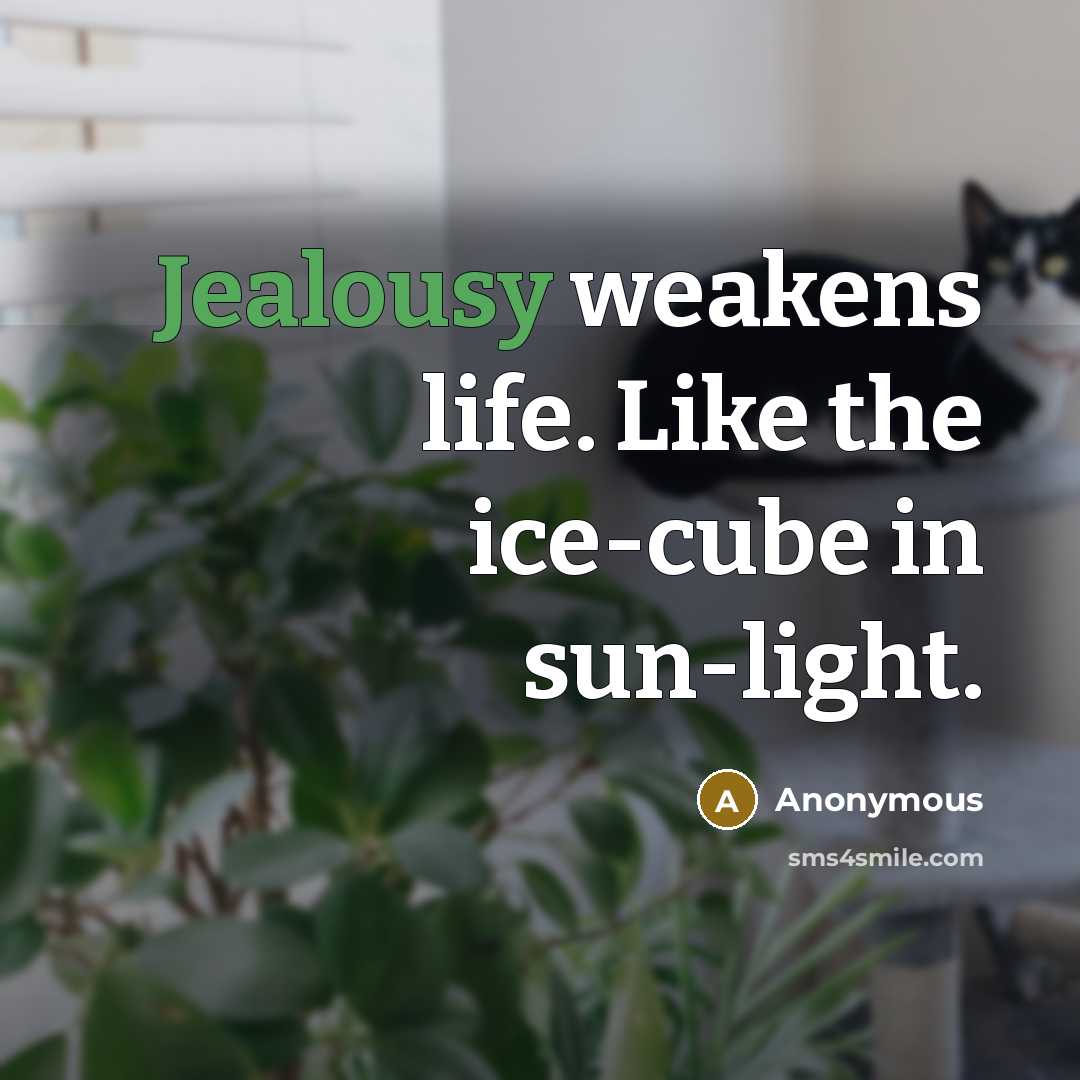 “Jealousy weakens life. Like the ice-cube in sun-light.” quote by Anonymous