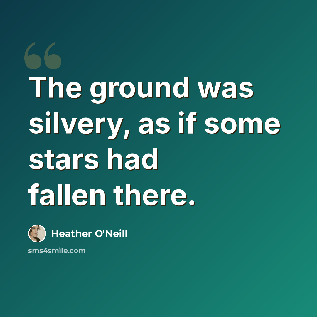 “The ground was silvery, as if some stars had fallen there.” quote by Heather O'Neill