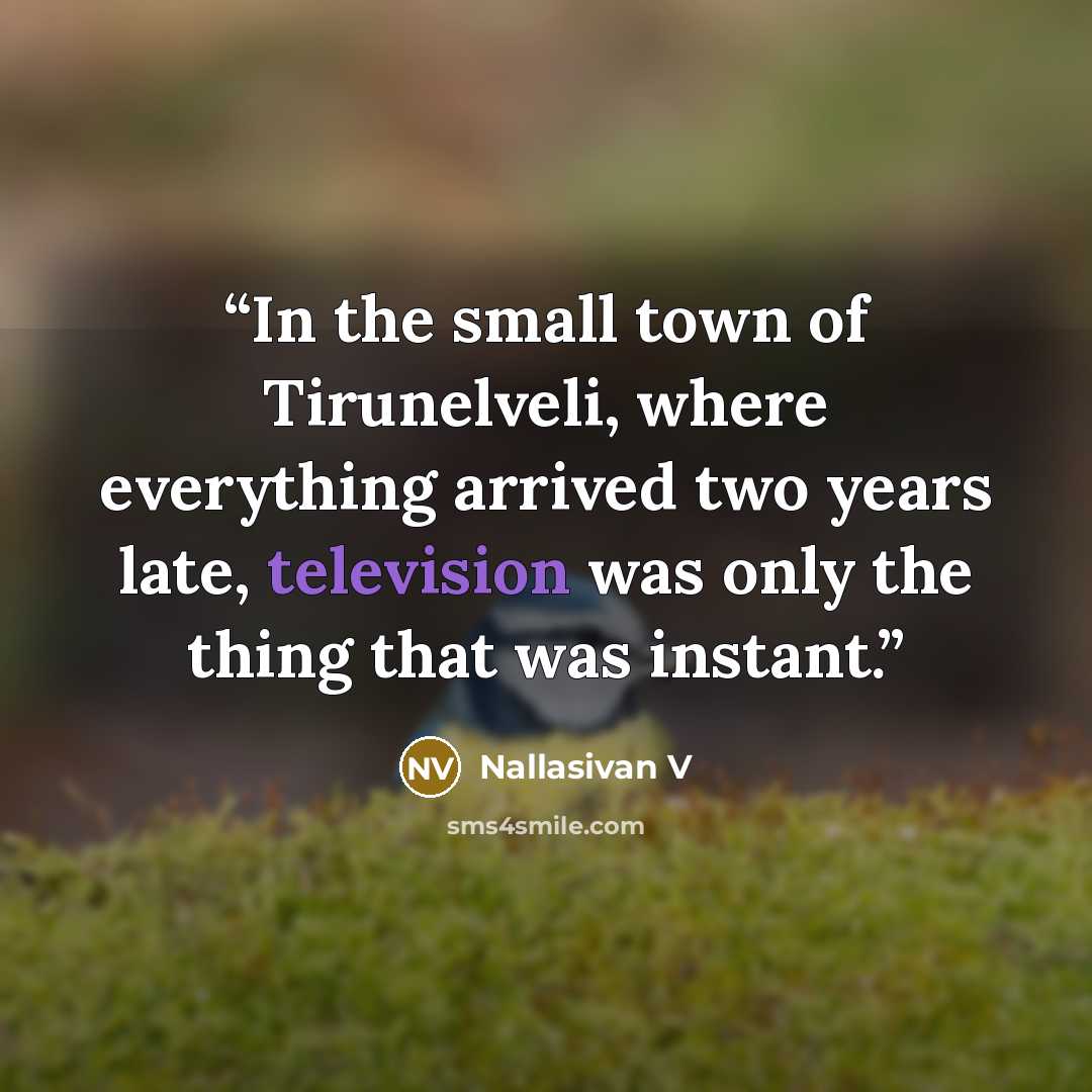 “In the small town of Tirunelveli, where everything arrived two years late, television was only the thing that was instant.” quote by Nallasivan V