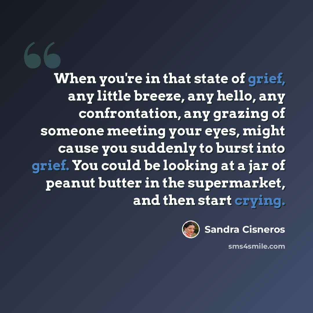 “When you're in that state of grief, any little breeze, any hello, any confrontation, any grazing of someone meeting your eyes, might cause you suddenly to burst into grief. You could be looking at a jar of peanut butter in the supermarket, and then start crying.” quote by Sandra Cisneros