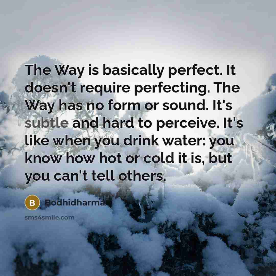 “The Way is basically perfect. It doesn't require perfecting. The Way has no form or sound. It's subtle and hard to perceive. It's like when you drink water: you know how hot or cold it is, but you can't tell others.” quote by Bodhidharma