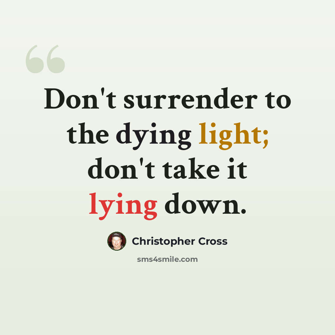 “Don't surrender to the dying light; don't take it lying down.” quote by Christopher Cross