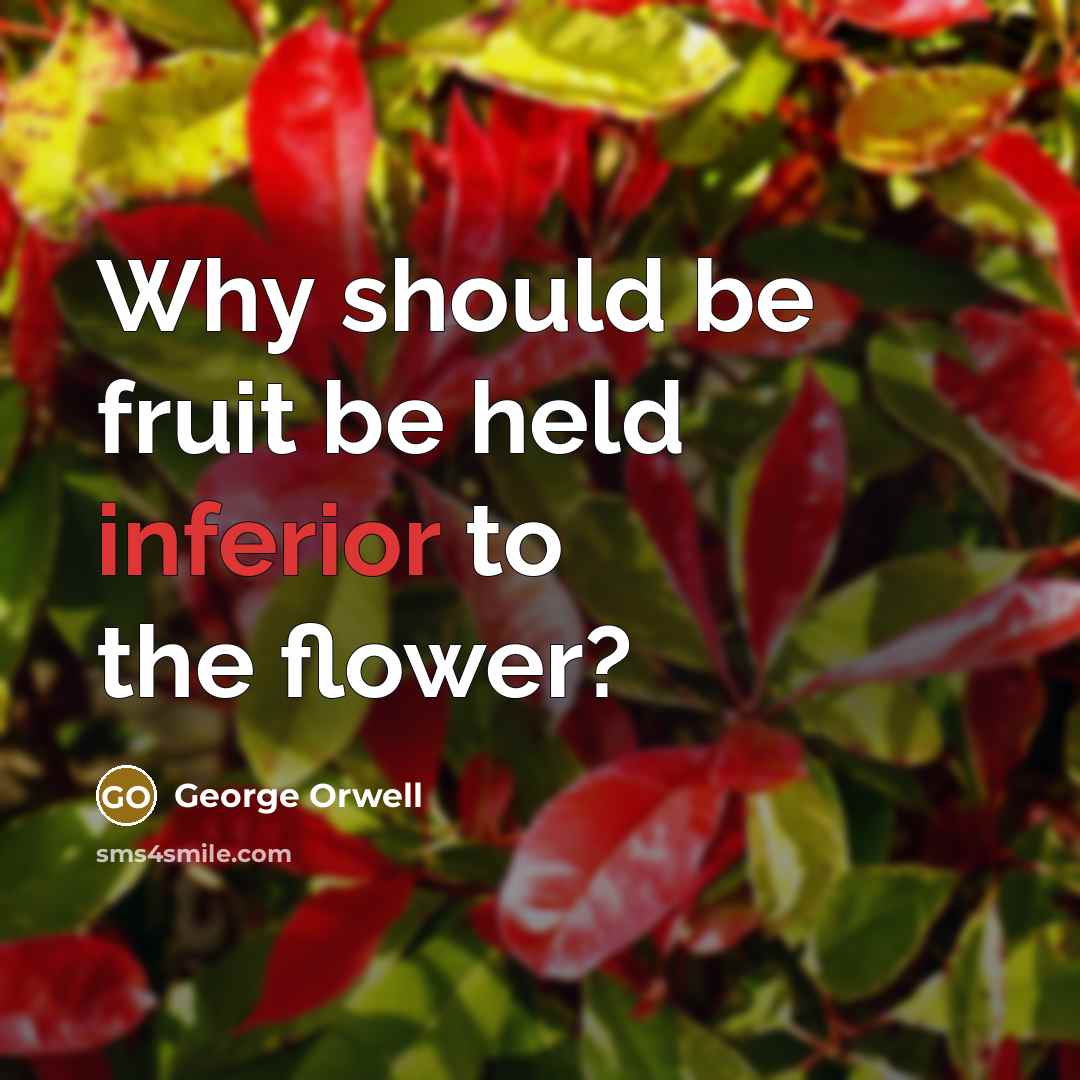 “Why should be fruit be held inferior to the flower?” quote by George Orwell