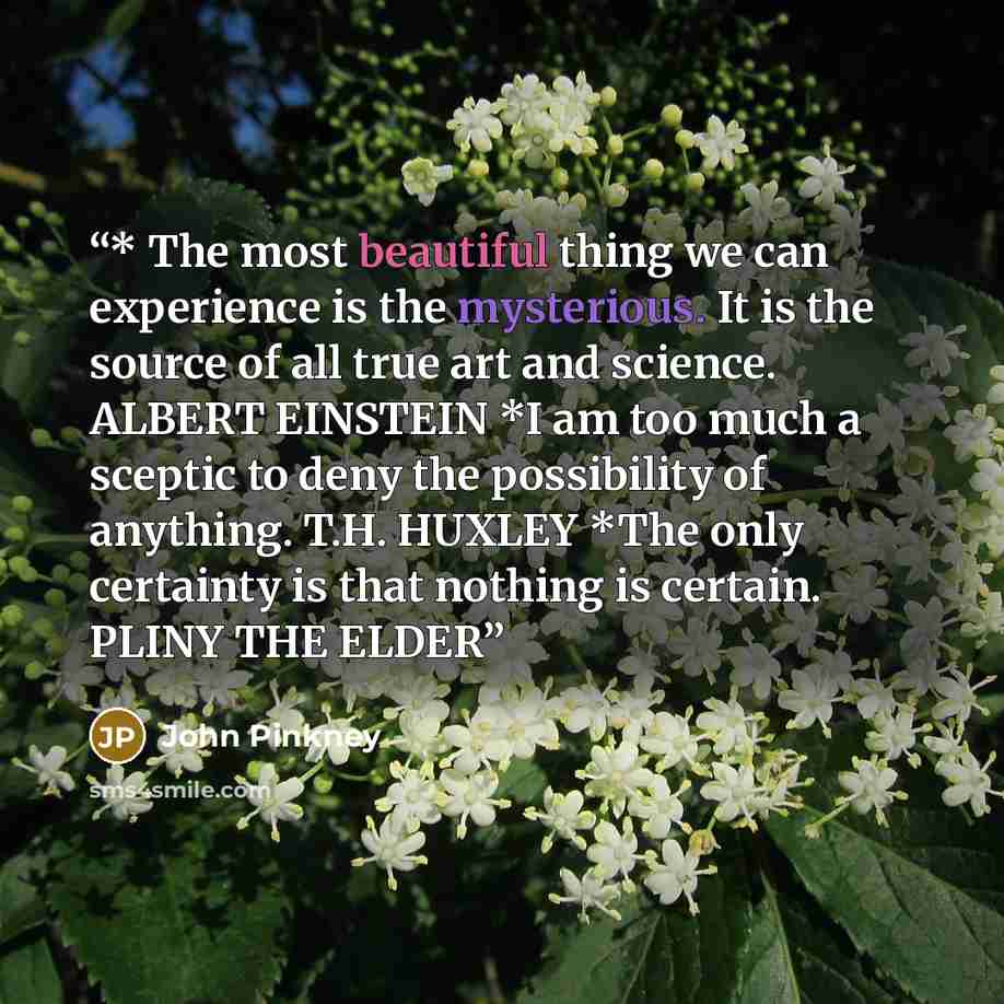 “* The most beautiful thing we can experience is the mysterious. It is the source of all true art and science. ALBERT EINSTEIN *I am too much a sceptic to deny the possibility of anything. T.H. HUXLEY *The only certainty is that nothing is certain. PLINY THE ELDER” quote by John Pinkney