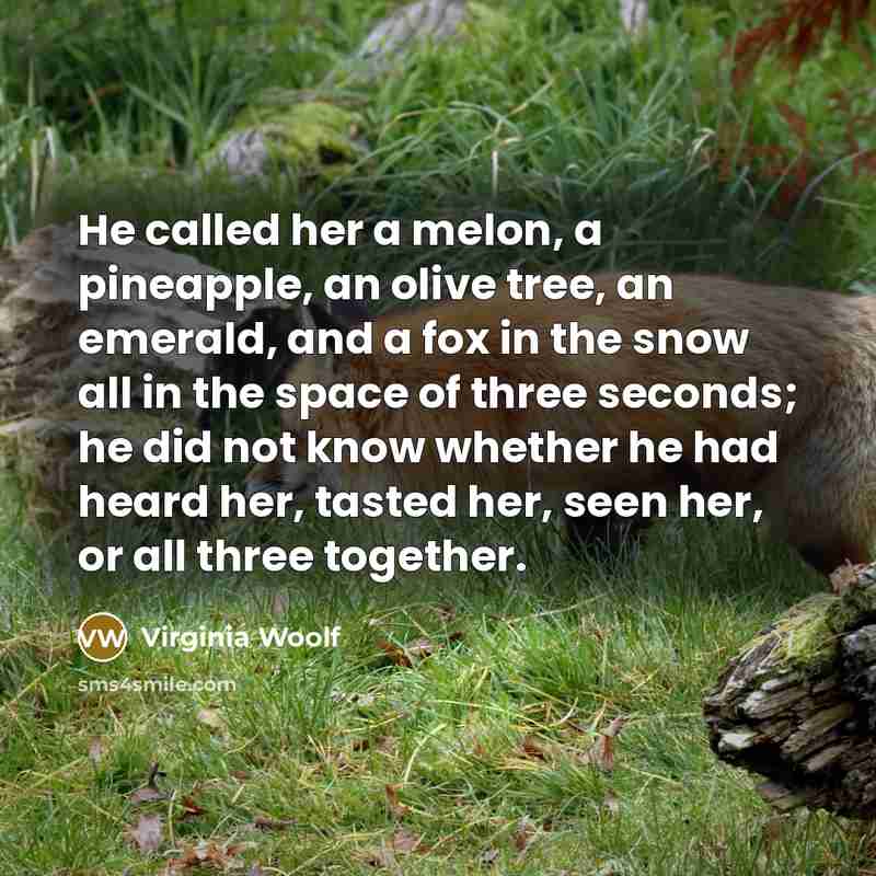 “He called her a melon, a pineapple, an olive tree, an emerald, and a fox in the snow all in the space of three seconds; he did not know whether he had heard her, tasted her, seen her, or all three together.” quote by Virginia Woolf